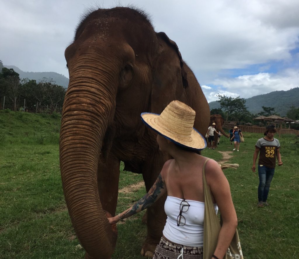 WALKING WITH ELEPHANTS PHOTO